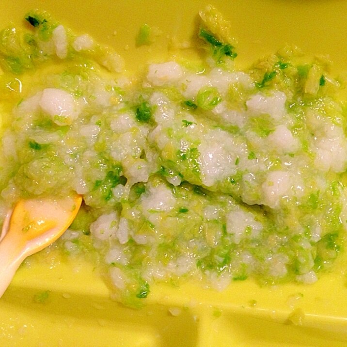 離乳食中期 白菜入りのお粥 レシピ 作り方 By みゅうしろ 楽天レシピ 離乳食中期 白菜入りのお粥 レシピ 作り方 By みゅうしろ 楽天レシピ